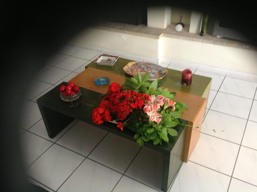 Filyra Homestay Афины Экстерьер фото